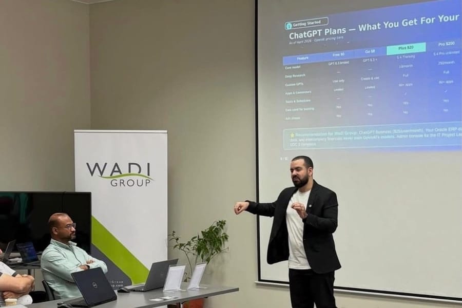 Wadi Group — Cairo